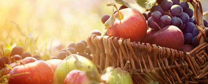 Dieta d’autunno: 6 alimenti da includere assolutamente|Dieta d’autunno: 6 alimenti da includere assolutamente