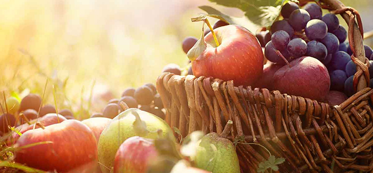 Dieta d’autunno: 6 alimenti da includere assolutamente|Dieta d’autunno: 6 alimenti da includere assolutamente