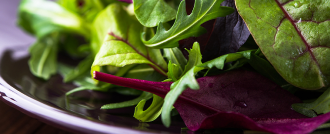 |||Insalata: le 15 varietà che puoi mangiare senza problemi|||